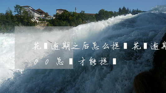 花唄逾期之后怎么提額(花唄逾期額度降到500怎樣才能提額)