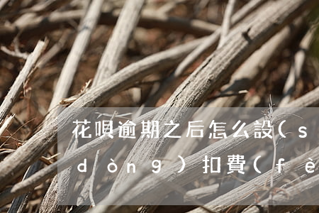 花唄逾期之后怎么設(shè)置不自動(dòng)扣費(fèi)-花唄逾期之后怎么設(shè)置不自動(dòng)扣費(fèi)了