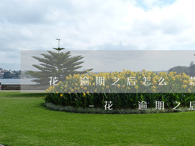花唄逾期之后怎么還款,顯示沒(méi)有賬單-花唄逾期之后怎么還款,顯示沒(méi)有賬單信息