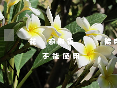 花唄逾期乘車碼還能用(花唄逾期支付寶乘車碼不能使用)