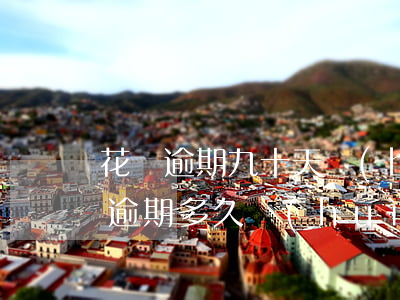 花唄逾期九十天會(huì)被起訴嗎(花唄逾期多久會(huì)被起訴?花唄逾期被起訴)