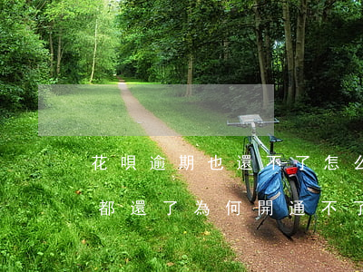 花唄逾期也還不了怎么辦(花唄有過逾期但是都還了為何開通不了了)