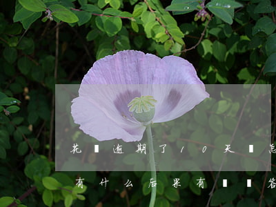 花唄逾期了10天會怎樣(花唄逾期12天會有什么后果?,有獎問答)