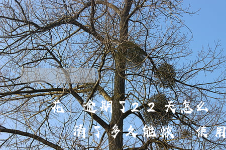 花唄逾期了22天怎么辦(花唄逾期22天后還清了多久能恢復使用資格)