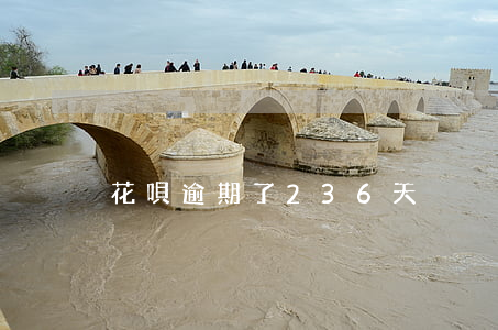 花唄逾期了236天