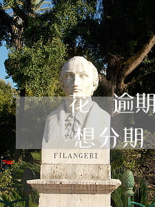 花唄逾期了300多天(花唄逾期300多天想分期還款能行不)