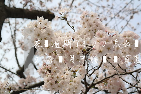 花唄逾期了300怎么辦(花唄逾期10000每個月只能還幾百怎么辦)