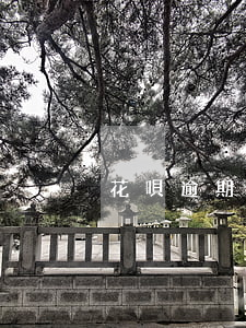 花唄逾期了360借條可以用嗎-