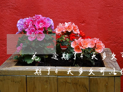 花唄逾期了4天多久可以使用花唄-花唄逾期了4天多久可以使用花唄了