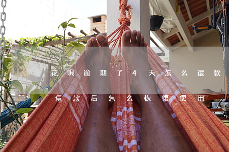 花唄逾期了4天怎么還款(花唄逾期4個月后還款后怎么恢復使用)