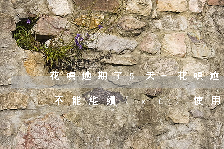 花唄逾期了5天-花唄逾期了5天 還了還能不能繼續(xù)使用花唄