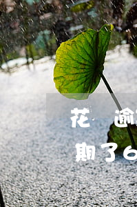 花唄逾期了6天會(huì)怎么樣(花唄逾期了6天會(huì)怎么樣)