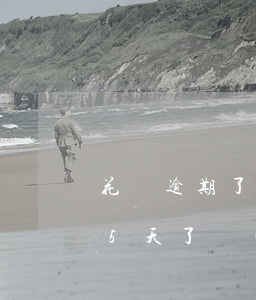 花唄逾期了一天怎樣恢復(fù)(花唄逾期5天了,現(xiàn)在還了,怎么可以恢復(fù)使用)