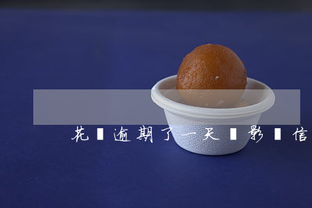 花唄逾期了一天會影響信用度嗎-