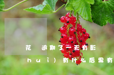 花唄逾期了一天有影響嗎(花唄逾期幾天會(huì)有什么后果?,有獎(jiǎng)問(wèn)答)