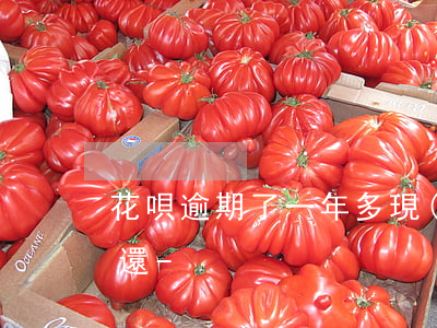 花唄逾期了一年多現(xiàn)在去哪里還-