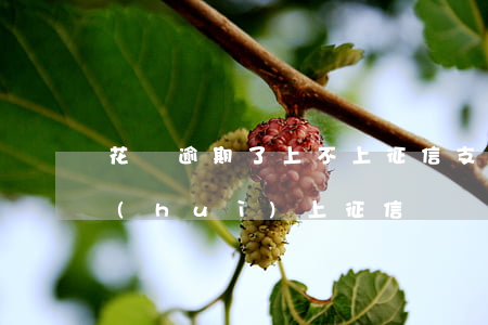 花唄逾期了上不上征信(支付寶花唄逾期了會(huì)上征信?)