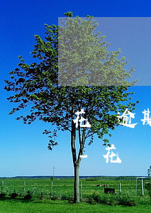 花唄逾期了不到5天還能繼續(xù)用嗎-花唄逾期了不到5天還能繼續(xù)用嗎怎么辦