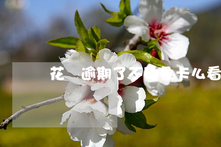 花唄逾期了不印象卡么(看花唄有沒有逾期記錄)