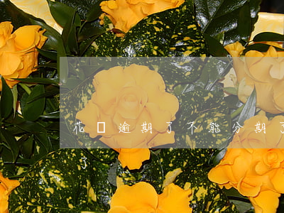 花唄逾期了不能分期了(花唄逾期了不能分期了)