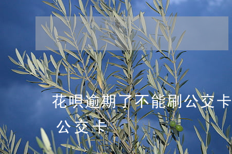花唄逾期了不能刷公交卡(花唄逾期了不能刷公交卡)
