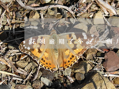 花唄逾期了不足一個月
