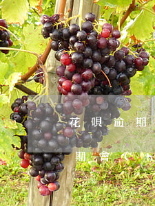 花唄逾期了也沒還會(huì)封嗎(花唄逾期會(huì)導(dǎo)致支付寶封號(hào)嗎)