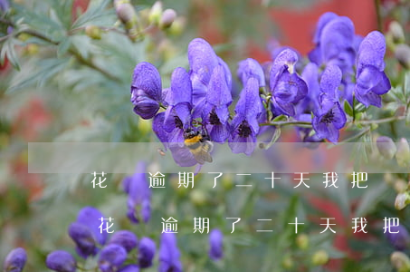 花唄逾期了二十天我把錢還上能不能解開-花唄逾期了二十天我把錢還上能不能解開凍結(jié)