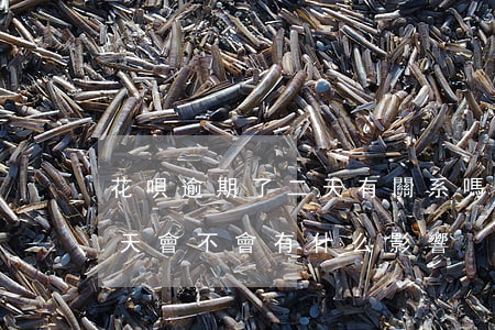 花唄逾期了二天有關系嗎(支付寶花唄逾期兩天會不會有什么影響)
