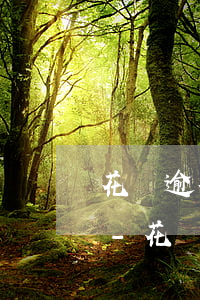 花唄逾期了什么時候可以恢復(fù)使用-花唄逾期了什么時候可以恢復(fù)使用額度