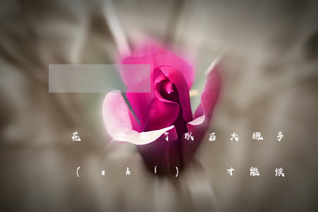 花唄逾期了以后大概多長(zhǎng)時(shí)間才能恢復(fù)-花唄逾期了以后大概多長(zhǎng)時(shí)間才能恢復(fù)使用