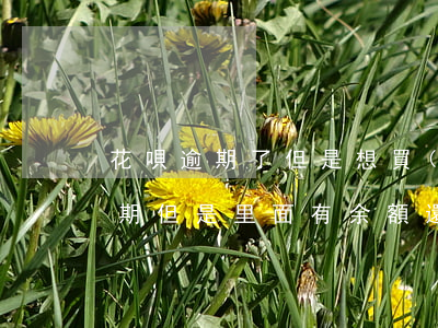 花唄逾期了但是想買(mǎi)東西(花唄逾期但是里面有余額還可以買(mǎi)東西嗎)