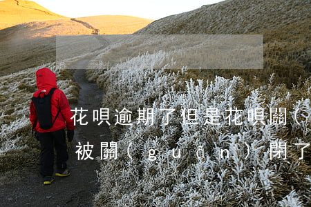花唄逾期了但是花唄關(guān)了(花唄被關(guān)閉了但還有款逾期未還怎么辦)