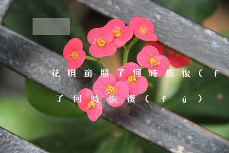 花唄逾期了 何時恢復(fù)額度（花唄逾期了 何時恢復(fù)）