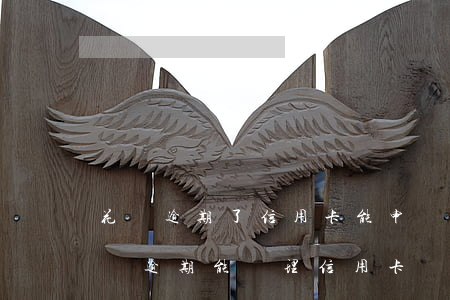 花唄逾期了信用卡能申請(qǐng)嘛(花唄逾期能辦理信用卡嗎)