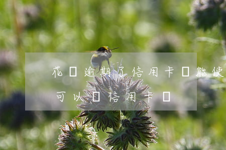 花唄逾期了信用卡還能使用嗎(之前花唄逾期可以辦信用卡嗎)
