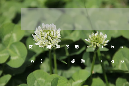 花唄逾期了借唄會(huì)被關(guān)閉嗎(逾期關(guān)閉的花唄借唄還清后還會(huì)開(kāi)啟嗎)