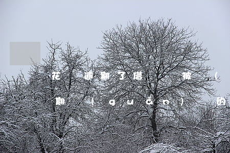 花唄逾期了借唄會被關(guān)閉嗎(逾期關(guān)閉的花唄借唄還清后還會開啟嗎)