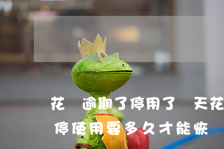 花唄逾期了停用了幾天(花唄逾期了半年被暫停使用要多久才能恢復(fù))