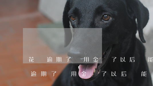 花唄逾期了備用金還了以后還能用嗎-花唄逾期了備用金還了以后還能繼續(xù)使用嗎