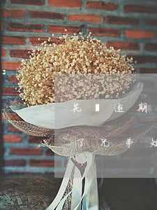 花唄逾期了兄弟姐妹也會凍結嗎-花唄逾期了兄弟姐妹也會凍結嗎怎么辦