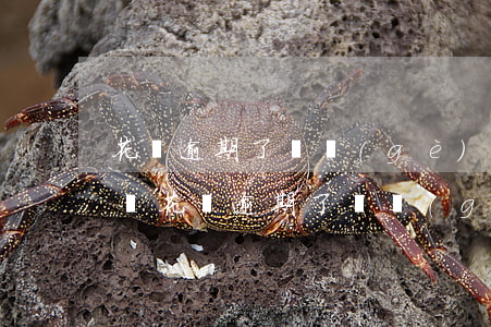 花唄逾期了兩個(gè)月嚴(yán)重嗎(花唄逾期了兩個(gè)月嚴(yán)重嗎)