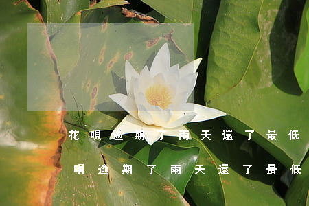 花唄逾期了兩天還了最低還款還能用嗎-花唄逾期了兩天還了最低還款還能用嗎怎么辦