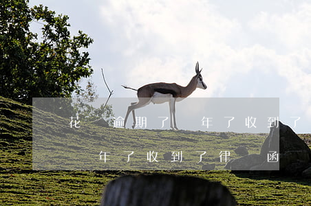 花唄逾期了兩年了收到了律師函 花唄逾期了兩年了收到了律師函