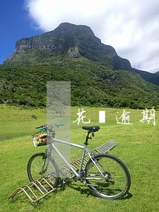 花唄逾期了兩月(花唄逾期了兩月)