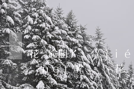 花唄逾期了凍結(jié)了可以申請(qǐng)解凍嗎-花唄逾期了凍結(jié)了可以申請(qǐng)解凍嗎安全嗎
