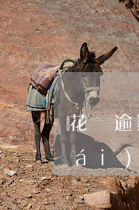 花唄逾期了分期樂(lè)也借不出來(lái)嗎-花唄分期后逾期,后面沒(méi)還的,還可以分期嗎