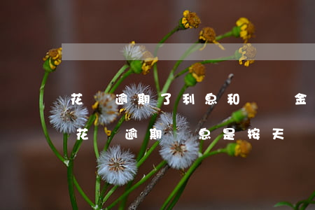 花唄逾期了利息和處罰金一起算嗎-支付寶花唄逾期罰息是按天還是按月罰息?