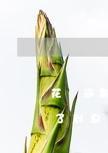 花唄逾期了利息和違約金怎么算-花唄逾期了利息和違約金怎么算的