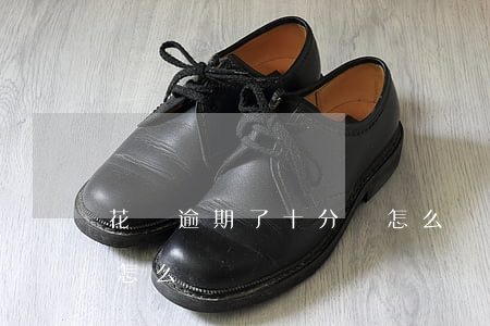 花唄逾期了十分鐘怎么辦(花唄逾期了十分鐘怎么辦)
